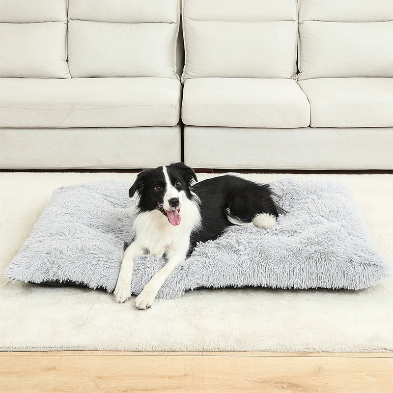 SnuggleTail – Ekstra Lang Hundeseng i Plysj for Maksimal Komfort og Ro