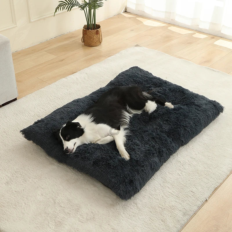 SnuggleTail – Ekstra Lang Hundeseng i Plysj for Maksimal Komfort og Ro