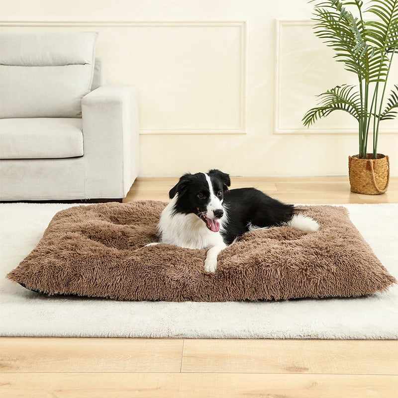 SnuggleTail – Ekstra Lang Hundeseng i Plysj for Maksimal Komfort og Ro