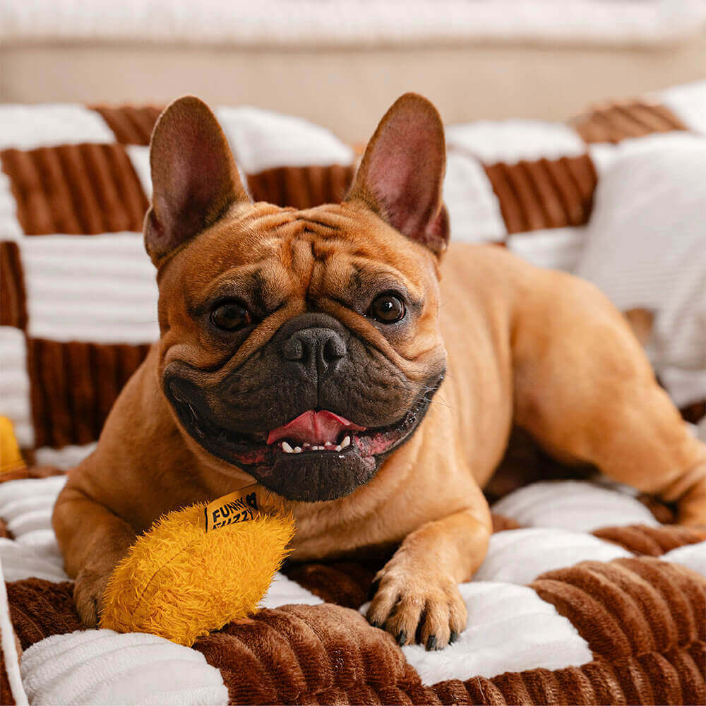 King's Chillout Sofa – Luksuriøs ortopedisk hundesofa med ryggstøtte