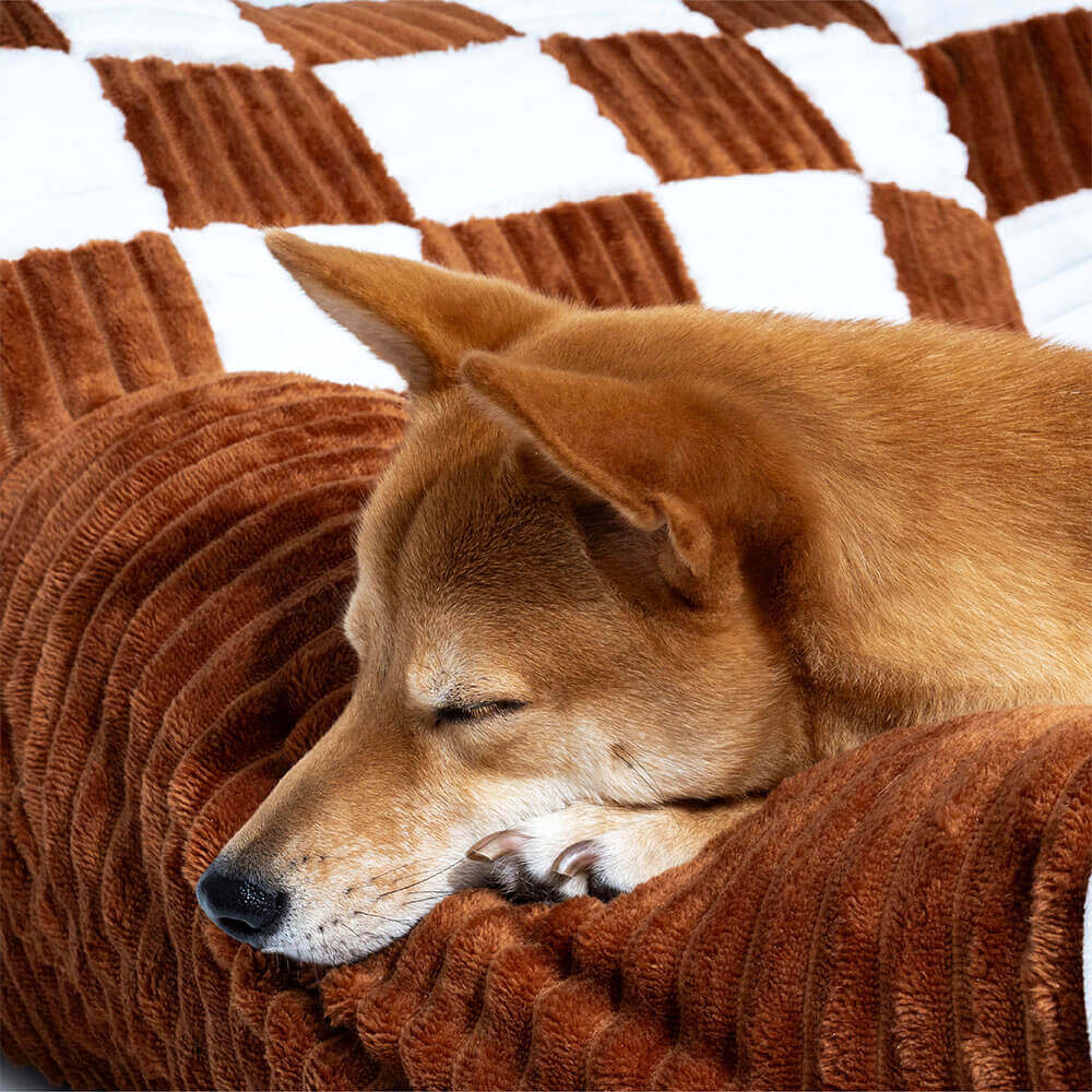 King's Chillout Sofa – Luksuriøs ortopedisk hundesofa med ryggstøtte