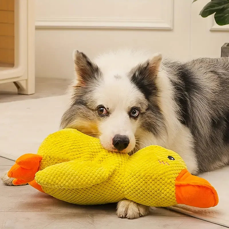 FlappyDuck – Interaktiv hundeleke med lyd og tannpleie