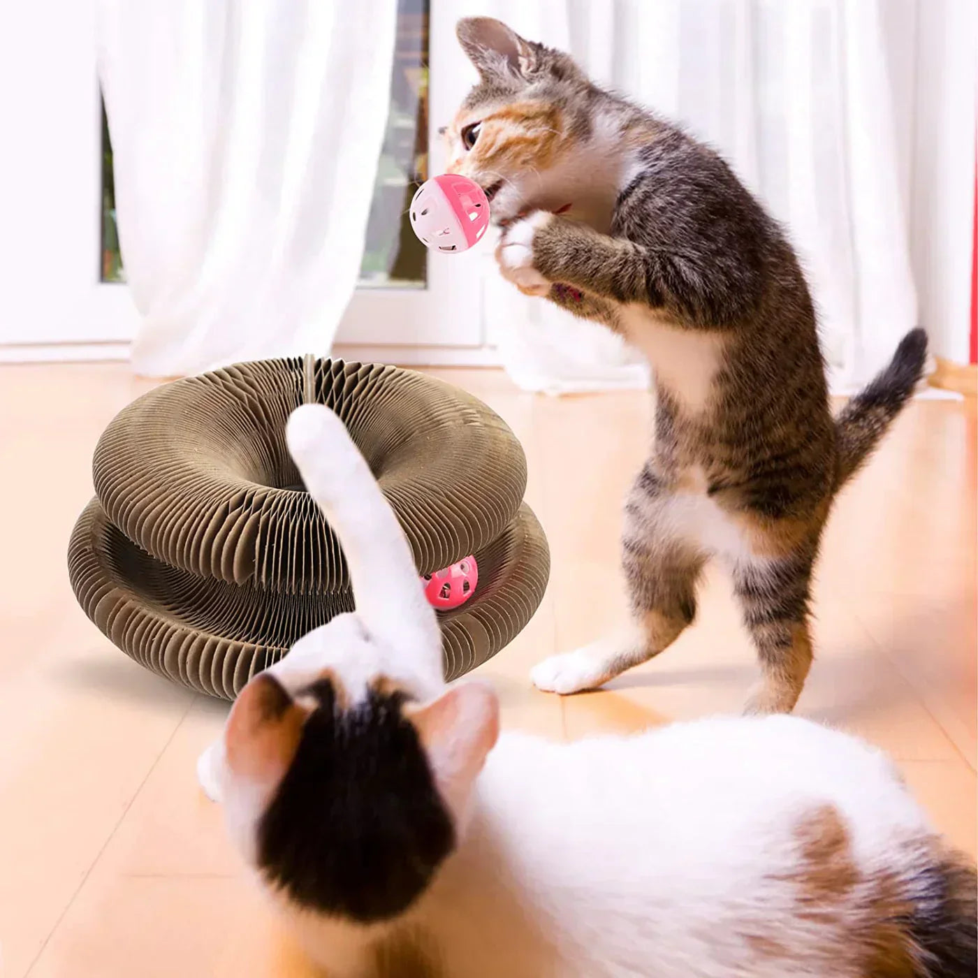PurrFit – Interaktiv lekeplattform for nysgjerrige katter