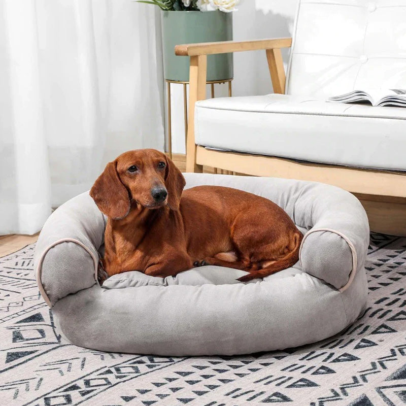 CalmPaw hundesofa med myk polstring – Ortopedisk komfort for avslappede poter