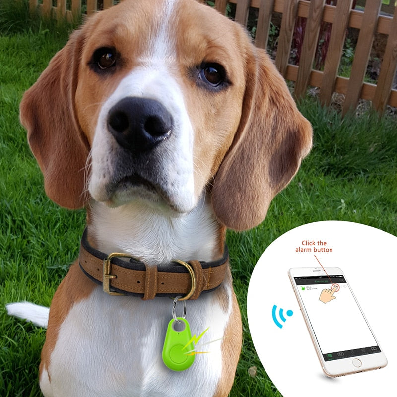 PawFinder – GPS-tracker for kjæledyr med smarte funksjoner