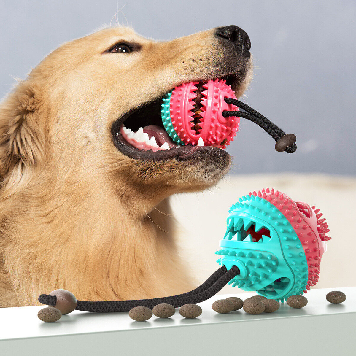 PlayPaw – Stabil trekkleke med sugekopp og godteribolle
