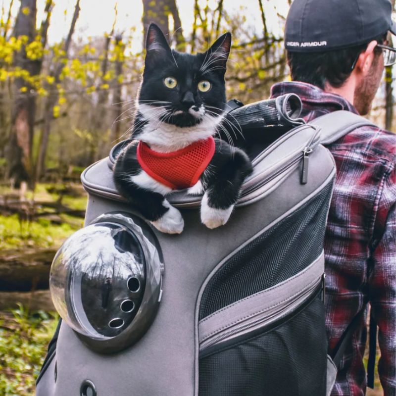 CatTrekker – Smart og praktisk katteveske med panoramautsikt