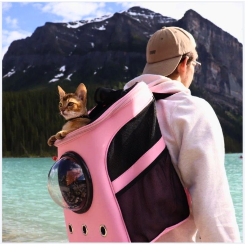 CatTrekker – Smart og praktisk katteveske med panoramautsikt