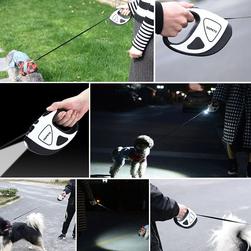 SafePaw – Inklappbar hundeleine med LED-lamper
